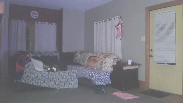 Smurfschmidt online show from March 2026 03:13:01 AM