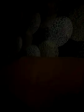 Snapshot of Kristis43 chatting on October 2025 05:36:01 PM Kristis43 online show from October 2025 05:36:01 PM