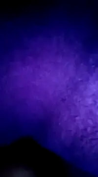 Snapshot of altinya chatting on March 2025 04:58:02 AM altinya online show from March 2025 04:58:02 AM