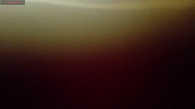 Snapshot of online_bestie chatting on February 2025 07:05:01 PM online bestie online show from February 2025 07:05:01 PM