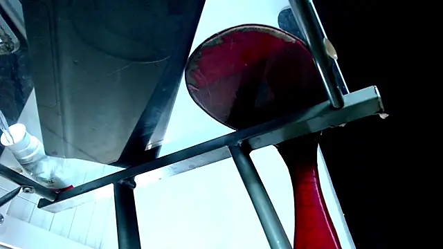 Snapshot of Antonywebb94 chatting on February 2026 04:49:02 PM Antonywebb94 online show from February 2026 04:49:02 PM