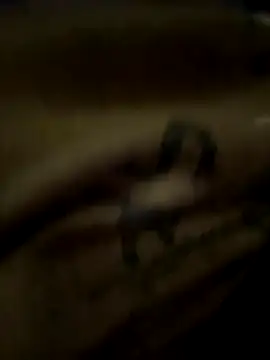 Snapshot of eveangelll chatting on October 2025 03:51:01 AM eveangelll online show from October 2025 03:51:01 AM