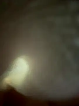 Snapshot of eveangelll chatting on November 2025 04:55:02 AM eveangelll online show from November 2025 04:55:02 AM