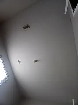 hermoso11111 online show from March 2026 02:06:02 PM