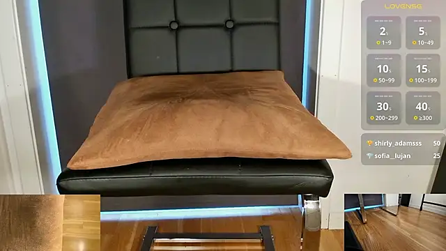 Snapshot of brsrkr chatting on February 2025 05:02:02 PM brsrkr online show from February 2025 05:02:02 PM