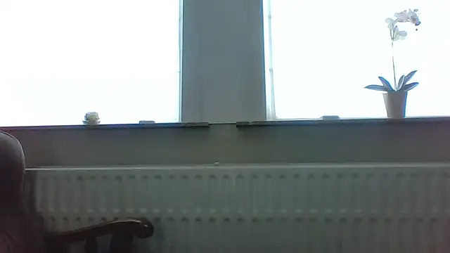 bertolini online show from May 2026 04:59:02 PM