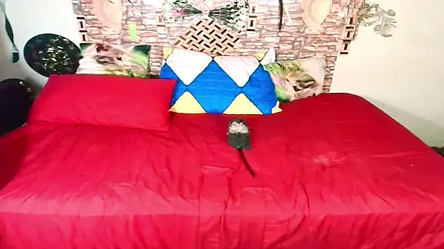 Indian Blaze00 online show from October 2025 11:35:01 AM