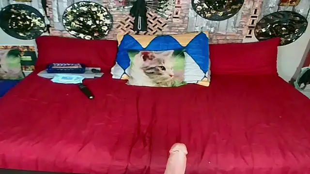 Indian Blaze00 online show from October 2025 11:03:02 PM