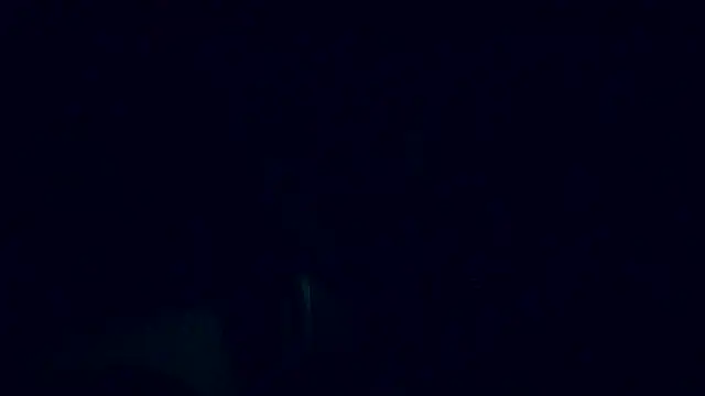 Lia Y PatrickX online show from February 2025 12:16:01 PM