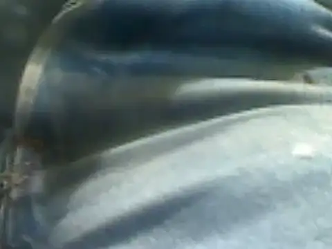 Snapshot of markluvskitty chatting on February 2025 02:15:02 PM markluvskitty online show from February 2025 02:15:02 PM