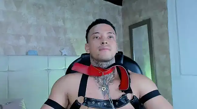 Stiven collins online show from December 2024 01:33:01 PM