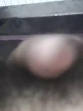 parozamzam online show from March 2026 08:20:01 AM