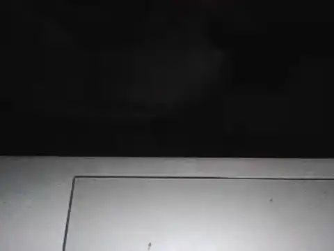 Snapshot of lovelickyou01 chatting on March 2025 04:33:01 PM lovelickyou01 online show from March 2025 04:33:01 PM