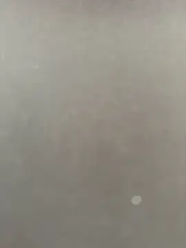 Syka0001 online show from February 2026 10:23:02 AM