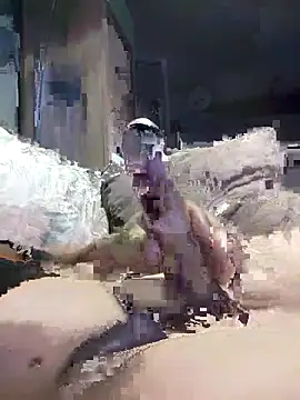 Bi-Sunny online show from November 2025 02:39:02 AM