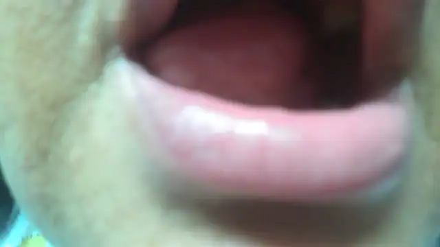 Snapshot of Shanttal0272 chatting on March 2026 04:56:01 AM Shanttal0272 online show from March 2026 04:56:01 AM