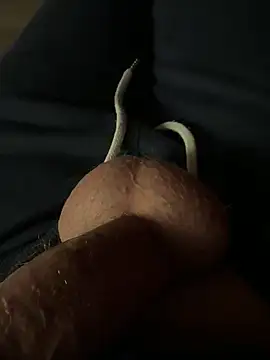 Snapshot of rambetto21 chatting on December 2025 07:53:01 PM rambetto21 online show from December 2025 07:53:01 PM