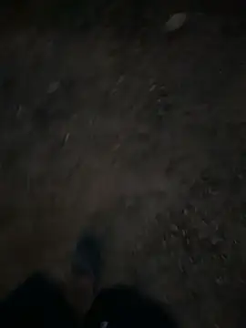 Snapshot of Black-mamba-madingo chatting on September 2025 12:27:01 AM Black-mamba-madingo online show from September 2025 12:27:01 AM