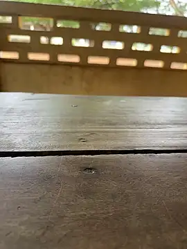 Snapshot of Black-mamba-madingo chatting on September 2025 10:09:01 AM Black-mamba-madingo online show from September 2025 10:09:01 AM