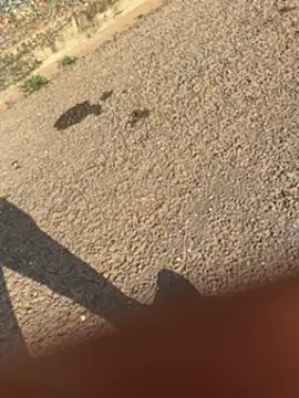 Snapshot of Black-mamba-madingo chatting on September 2025 03:39:01 PM Black-mamba-madingo online show from September 2025 03:39:01 PM