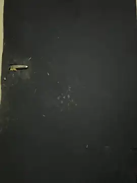 Snapshot of Black-mamba-madingo chatting on October 2025 12:25:01 PM Black-mamba-madingo online show from October 2025 12:25:01 PM