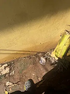 Snapshot of Black-mamba-madingo chatting on October 2025 02:16:02 PM Black-mamba-madingo online show from October 2025 02:16:02 PM