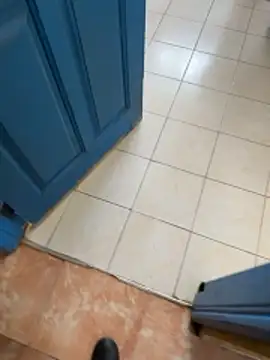 Snapshot of Black-mamba-madingo chatting on January 2026 09:12:02 AM Black-mamba-madingo online show from January 2026 09:12:02 AM