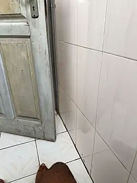 Snapshot of Black-mamba-madingo chatting on January 2026 10:53:01 AM Black-mamba-madingo online show from January 2026 10:53:01 AM