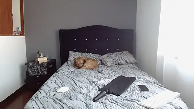 Emilia 1995 online show from February 2025 12:48:01 PM