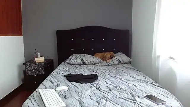 Emilia 1995 online show from February 2025 12:43:02 PM