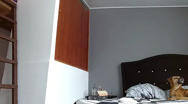 Emilia 1995 online show from March 2025 06:23:02 PM