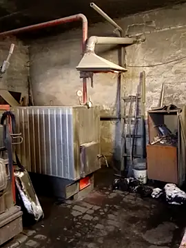 MityaXLoves online show from January 2026 07:11:01 PM