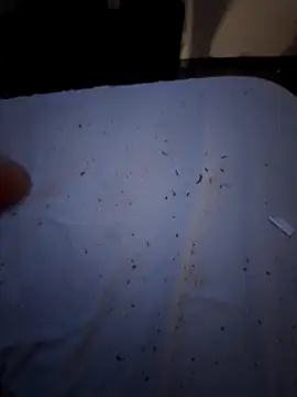 Csucsukahhh online show from December 2024 09:08:02 PM