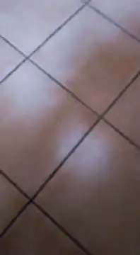 ZorraidaGiroNina online show from February 2025 04:10:01 PM