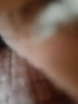 Rozittaa online show from June 2026 10:52:01 AM