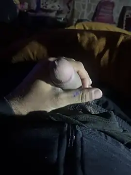 Snapshot of mrtoy121 chatting on December 2024 06:24:02 PM mrtoy121 online show from December 2024 06:24:02 PM