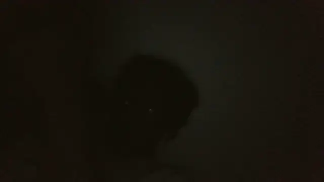 ThatDickSexy2 online show from September 2025 05:18:01 AM