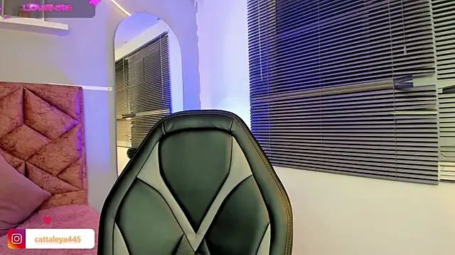 Snapshot of cattaleya___ chatting on February 2025 06:22:02 AM cattaleya online show from February 2025 06:22:02 AM