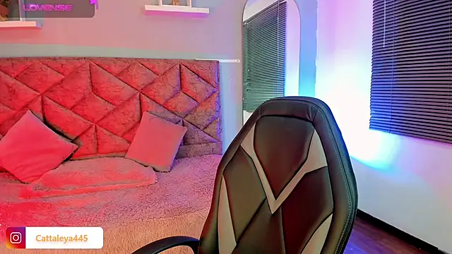 Snapshot of cattaleya___ chatting on February 2025 04:47:01 AM cattaleya online show from February 2025 04:47:01 AM