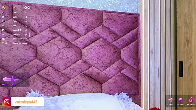 Snapshot of cattaleya___ chatting on March 2025 11:06:01 PM cattaleya online show from March 2025 11:06:01 PM