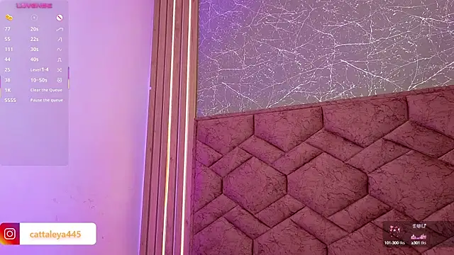 Snapshot of cattaleya___ chatting on March 2025 09:17:02 AM cattaleya online show from March 2025 09:17:02 AM