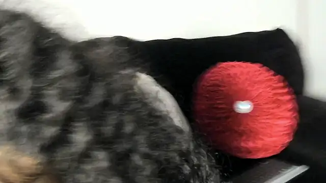 yiauana online show from January 2025 06:54:01 AM