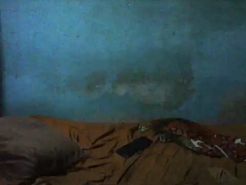 little  joy online show from November 2025 09:18:01 PM