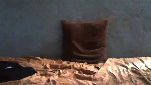 little  joy online show from May 2026 10:31:01 AM