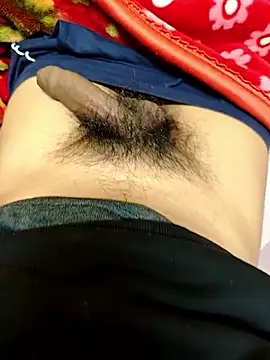 indboy44 online show from February 2026 06:00:02 PM