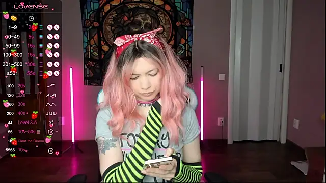 Project hisoka online show from January 2026 04:11:02 PM