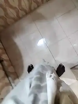 Snapshot of bas1cooks chatting on December 2024 05:34:01 AM bas1cooks online show from December 2024 05:34:01 AM