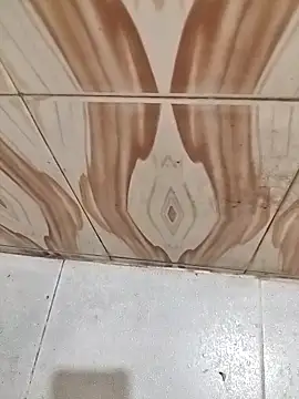 Snapshot of bas1cooks chatting on March 2025 06:28:02 AM bas1cooks online show from March 2025 06:28:02 AM