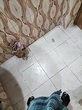 Snapshot of bas1cooks chatting on September 2025 03:22:01 AM bas1cooks online show from September 2025 03:22:01 AM