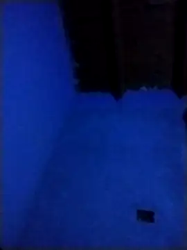 pmalvado912 online show from March 2026 05:07:01 AM